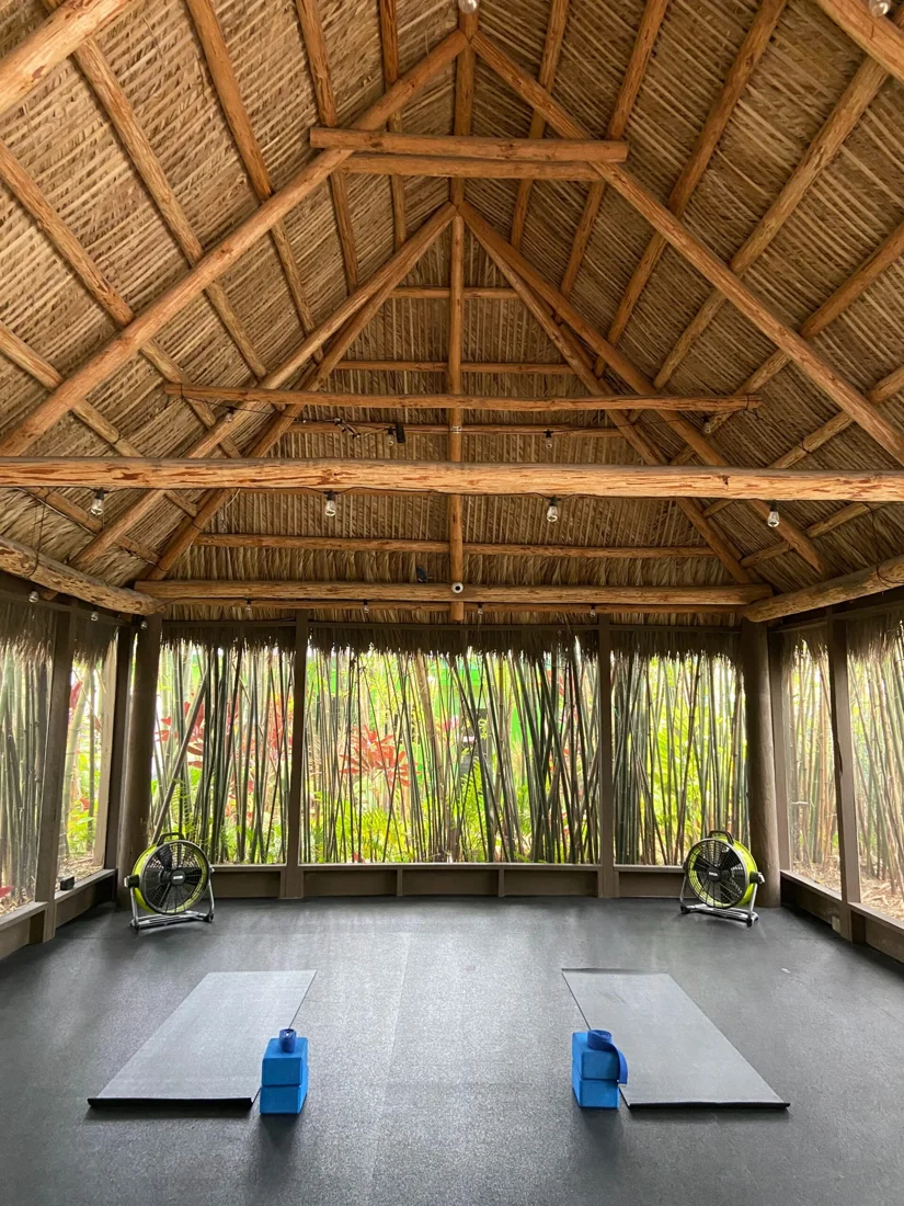 Bamboo Garden Yoga, business photo 2