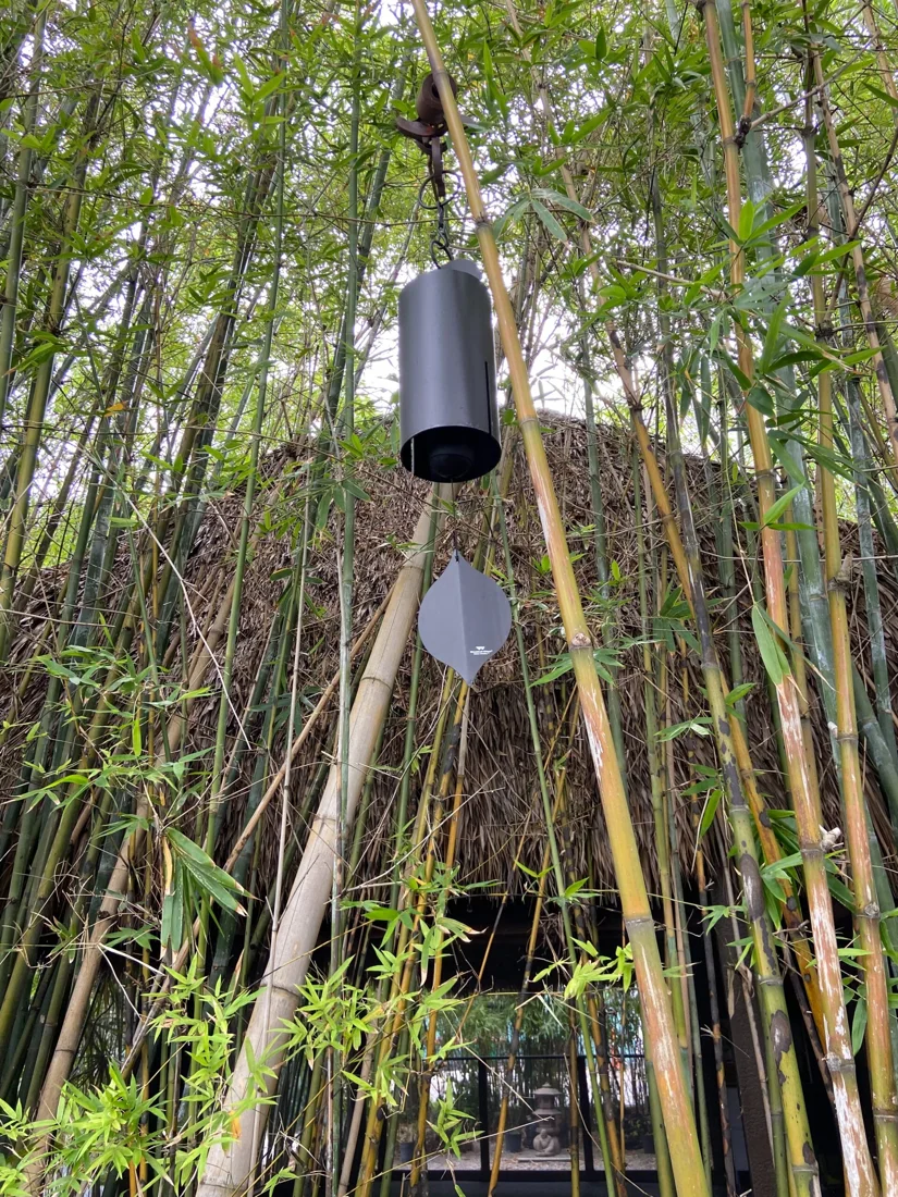 Bamboo Garden Yoga, business photo 3