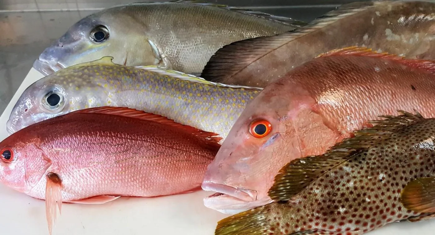Captain Clay and Sons Seafood Market business photo