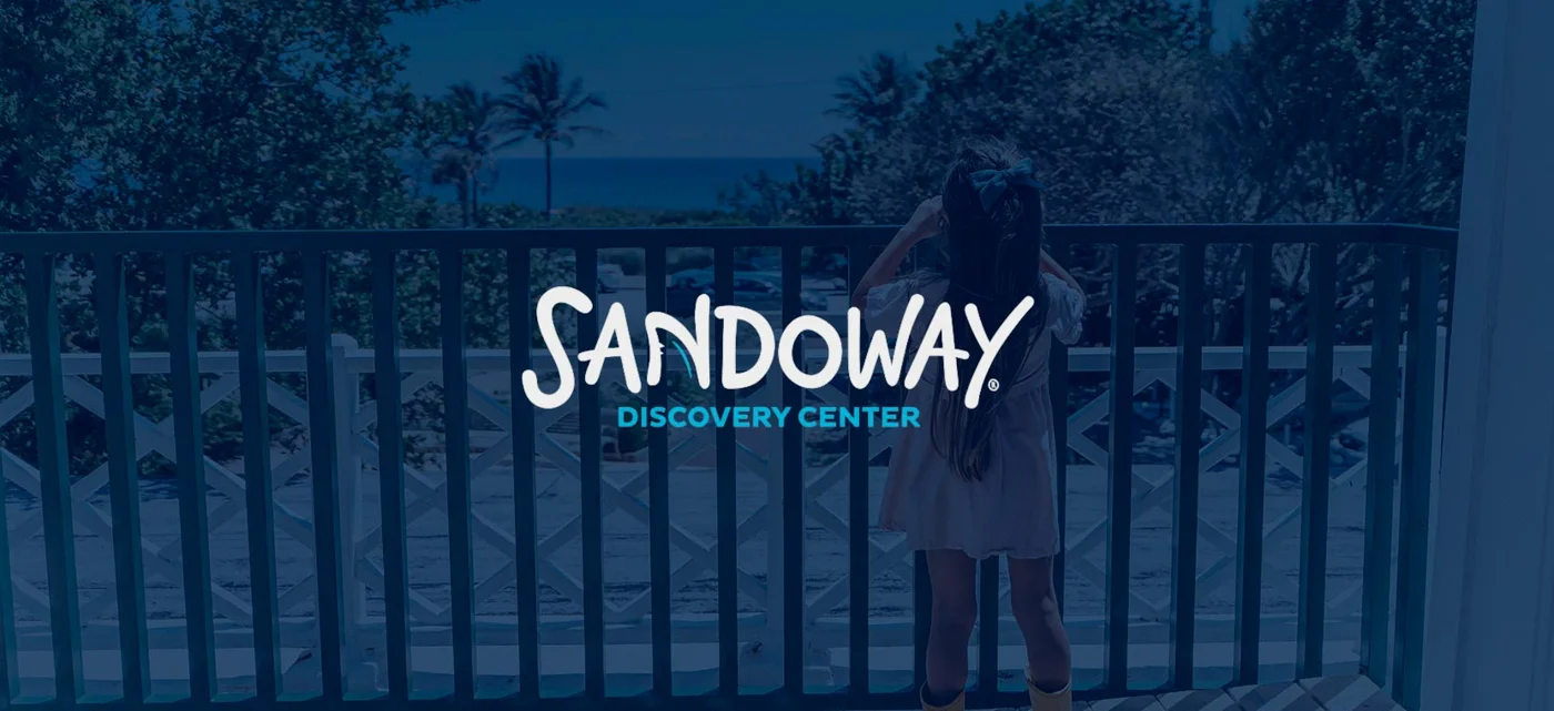 Sandoway Discovery Center, business photo 3