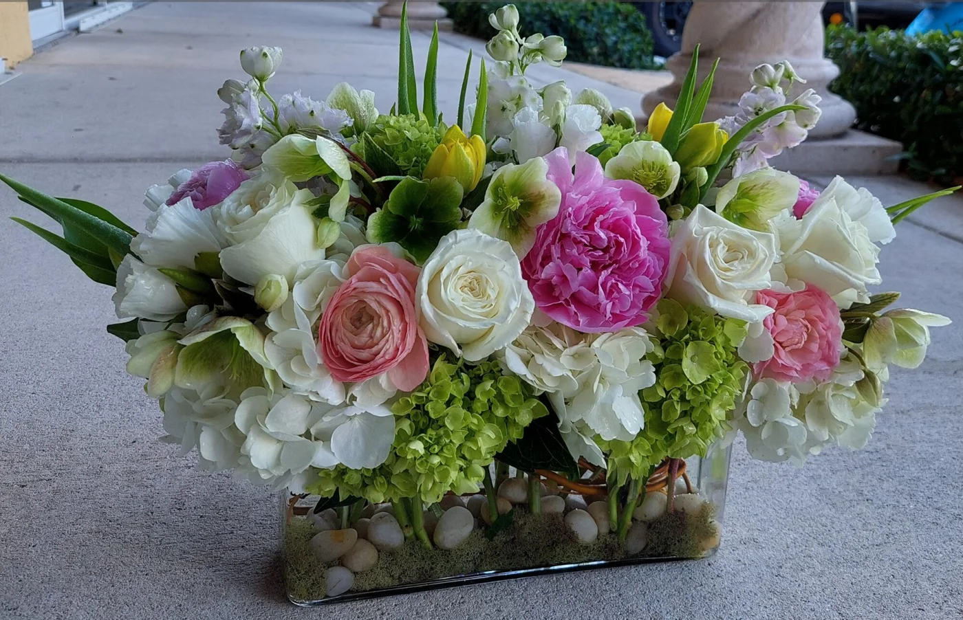 Tamara's Flower Garden, business photo 2